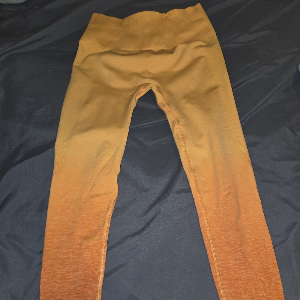 Alphalete Amplify Ombre Leggings